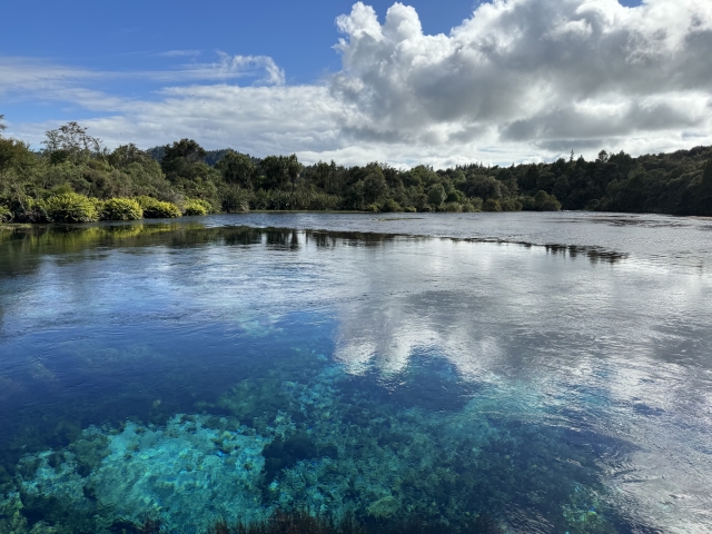 湧水の池
